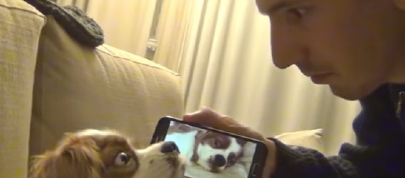Βίντεο: Εκδικήθηκε το κατοικίδιο του με «ξεχωριστό» τρόπο - Το βλέμμα του σκύλου όλα τα λεφτά